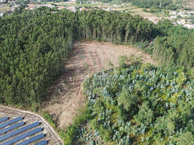 Terreno à venda em Santa Maria Oliveira, Vila Nova de Famalicão RE/MAX Portugal