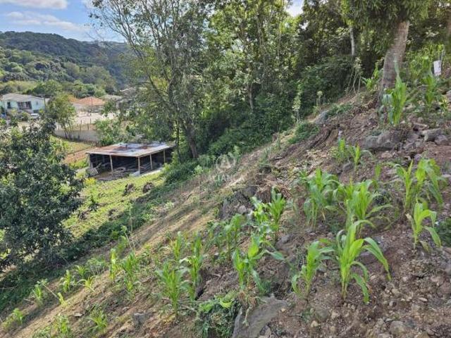 Terreno à venda em Santa Marta