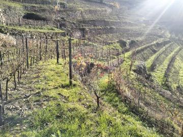 Terreno à venda em Santa Marta de Penaguião