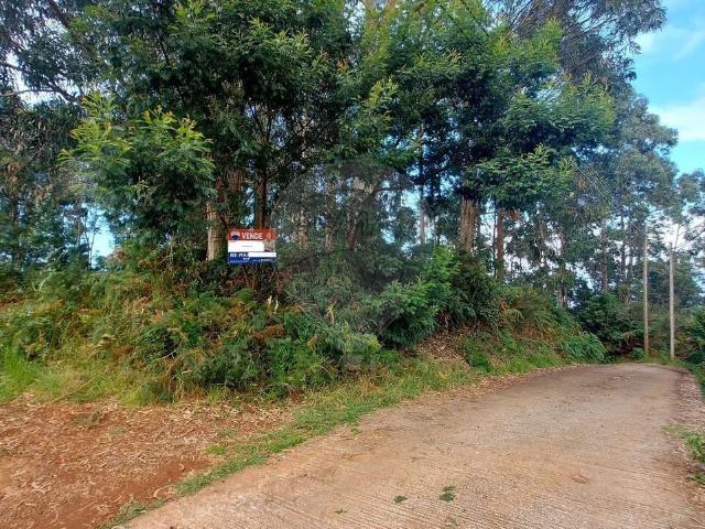 Terreno à venda em São Jorge, Santana RE/MAX Portugal