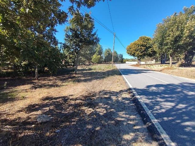 Terreno à venda em Santana da Azinha, Guarda RE/MAX Portugal