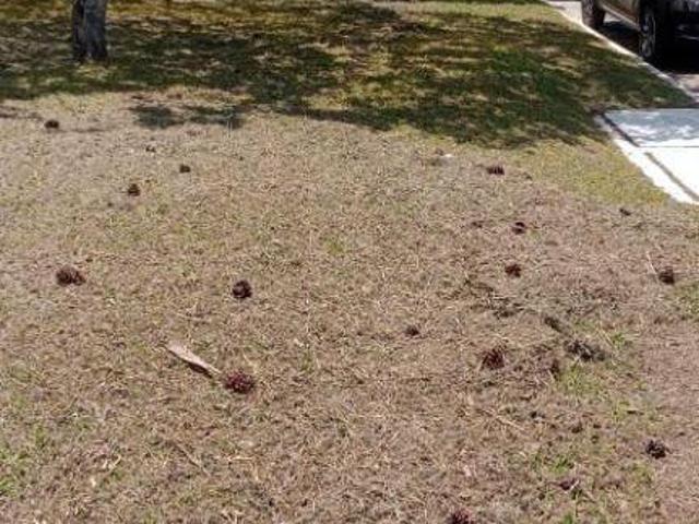 Terreno à venda em Santana de Parnaíba, Alphaville, Residencial Dez