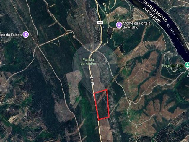 Terreno à venda em Santana, Nisa RE/MAX Portugal