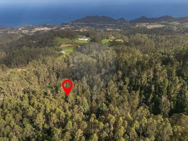 Terreno à venda em Santana, Santana RE/MAX Portugal