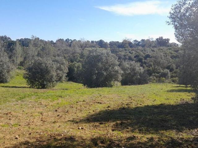 Terreno à venda em Santarém