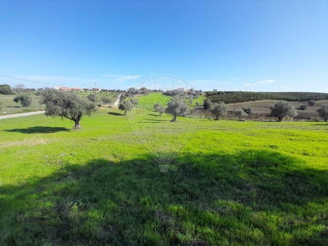 Terreno à venda em Santarém