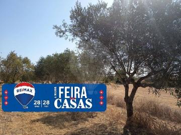 Terreno à venda em Santarém
