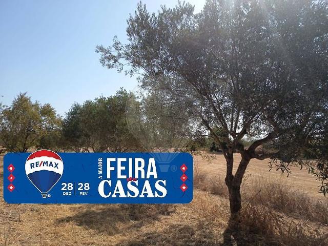 Terreno à venda em Santarém