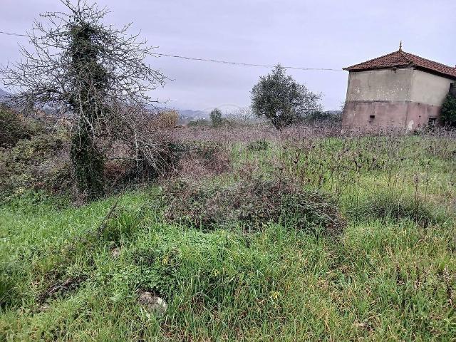 Terreno à venda em Santiago e São Simão de Litém e Albergaria dos Doze, Pombal RE/MAX Portugal