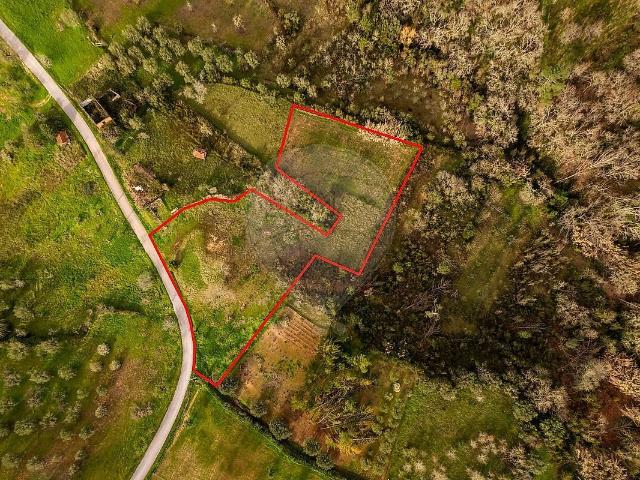 Terreno à venda em Santiago e São Simão de Litém e Albergaria dos Doze, Pombal RE/MAX Portugal