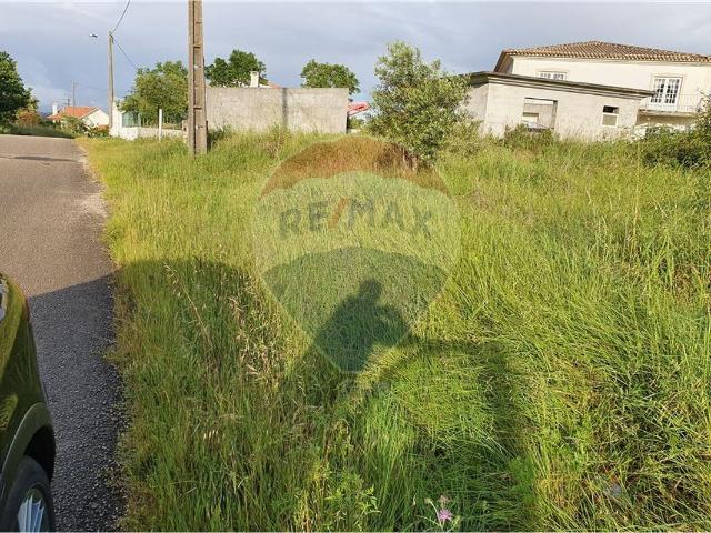 Terreno à venda em Santiago e São Simão de Litém e Albergaria dos Doze, Pombal RE/MAX Portugal