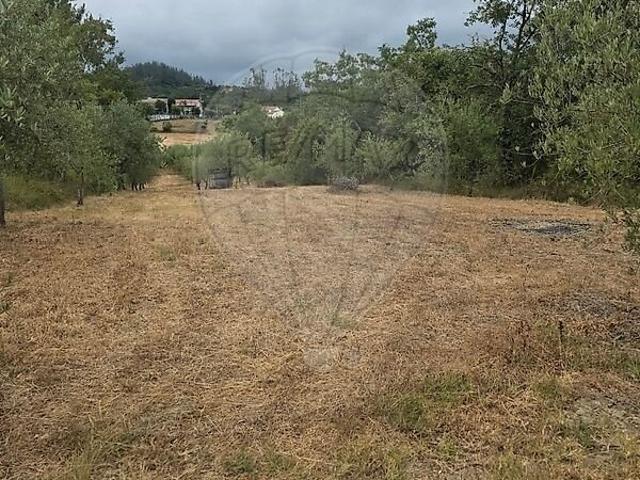 Terreno à venda em Santiago e São Simão de Litém e Albergaria dos Doze, Pombal RE/MAX Portugal