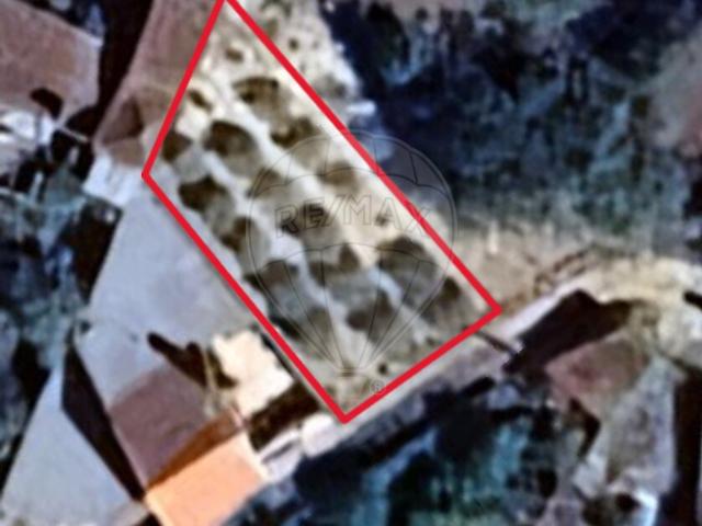 Terreno à venda em Santiago e São Simão de Litém e Albergaria dos Doze, Pombal RE/MAX Portugal