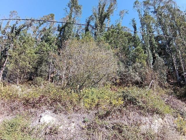 Terreno à venda em Santiago e São Simão de Litém e Albergaria dos Doze, Pombal RE/MAX Portugal