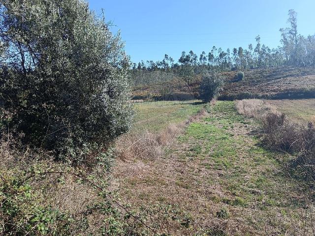 Terreno à venda em Santiago e São Simão de Litém e Albergaria dos Doze, Pombal RE/MAX Portugal