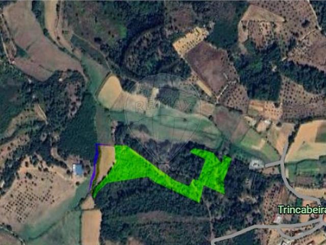 Terreno à venda em Santiago, Seia RE/MAX Portugal