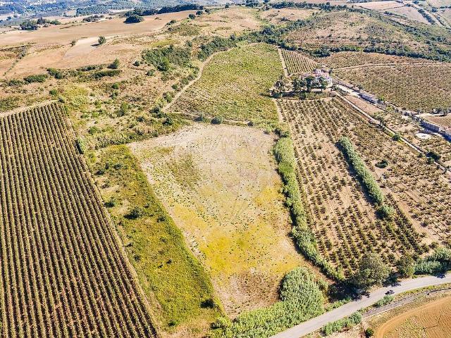 Terreno à venda em Sapataria, Sobral de Monte Agraço RE/MAX Portugal