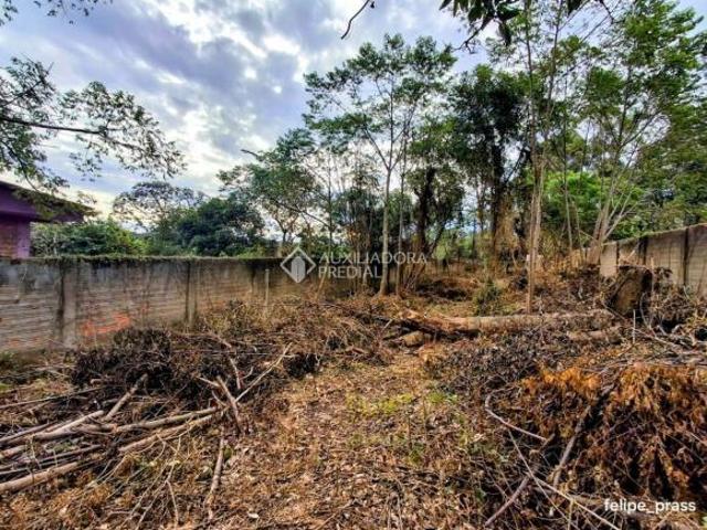Terreno á venda em Sapucaia