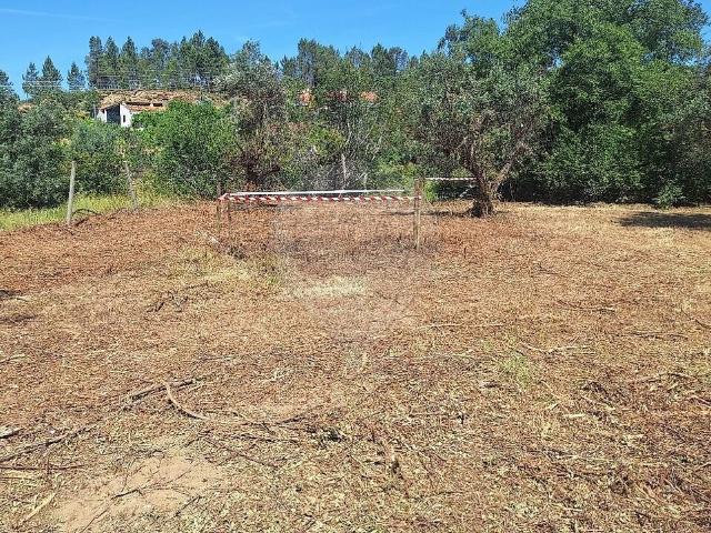 Terreno à venda em Sarzedas, Castelo Branco RE/MAX Portugal