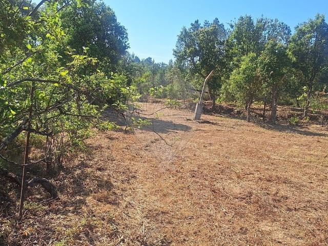 Terreno à venda em Sarzedas, Castelo Branco RE/MAX Portugal