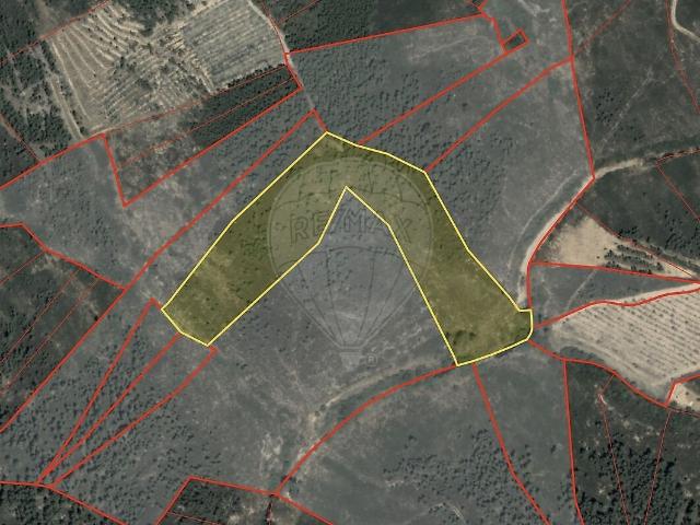 Terreno à venda em Sarzedas, Castelo Branco RE/MAX Portugal