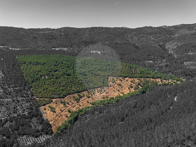 Terreno à venda em Sé e São Lourenço, Portalegre RE/MAX Portugal