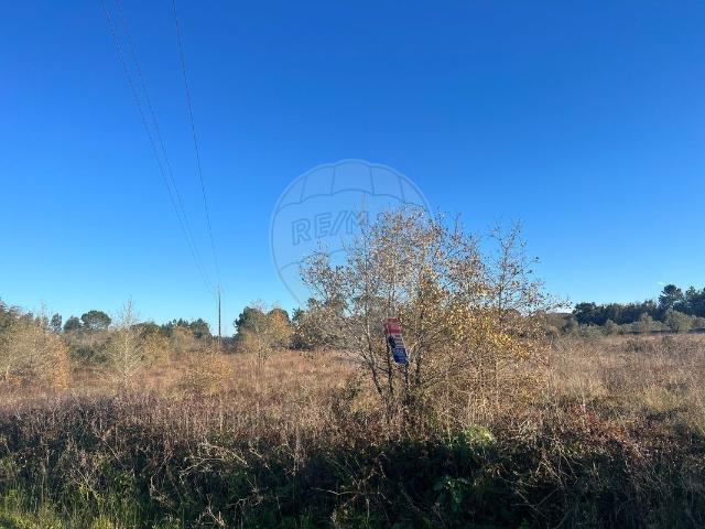 Terreno à venda em Sebal e Belide, Condeixa a Nova RE/MAX Portugal