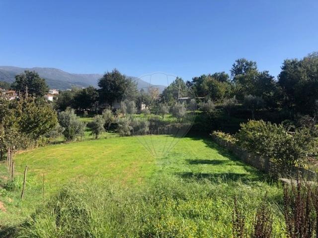 Terreno à venda em Seia