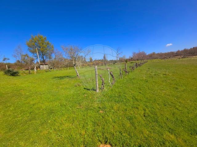 Terreno à venda em Seia