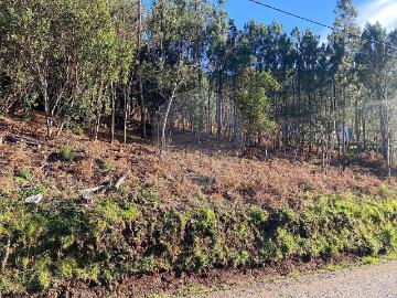 Sazes Velho, Sazes da Beira, Distrito de Guarda