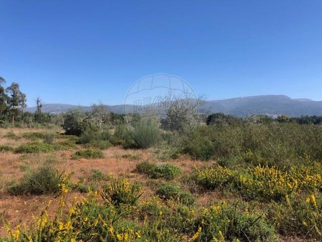 Terreno à venda em Seia