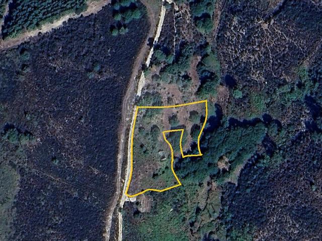 Terreno à venda em Seia, São Romão e Lapa dos Dinheiros, Seia RE/MAX Portugal