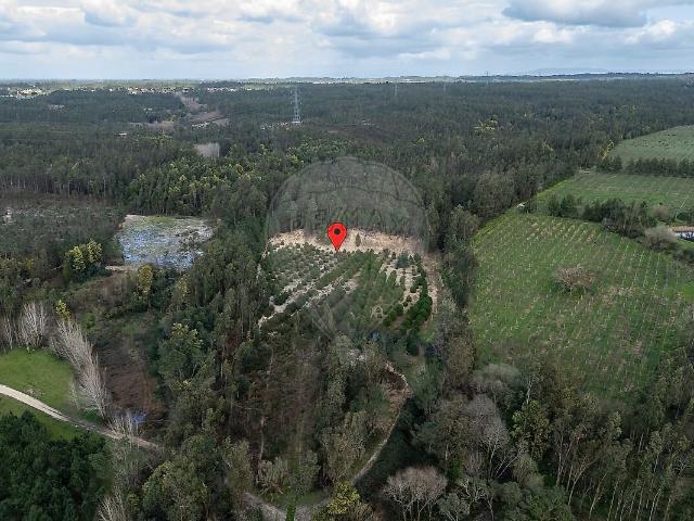Terreno à venda em Seixo de Gatões, Montemor o Velho RE/MAX Portugal