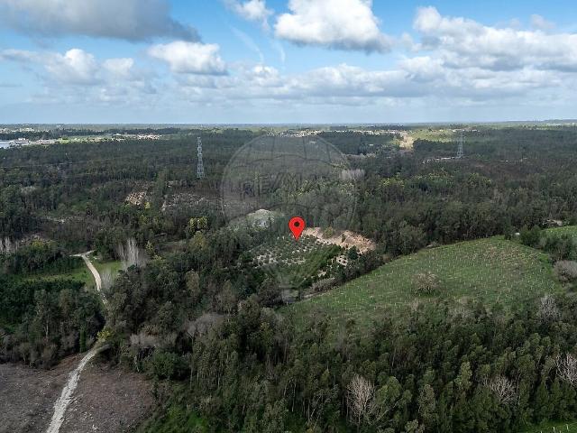 Terreno à venda em Seixo de Gatões, Montemor o Velho RE/MAX Portugal