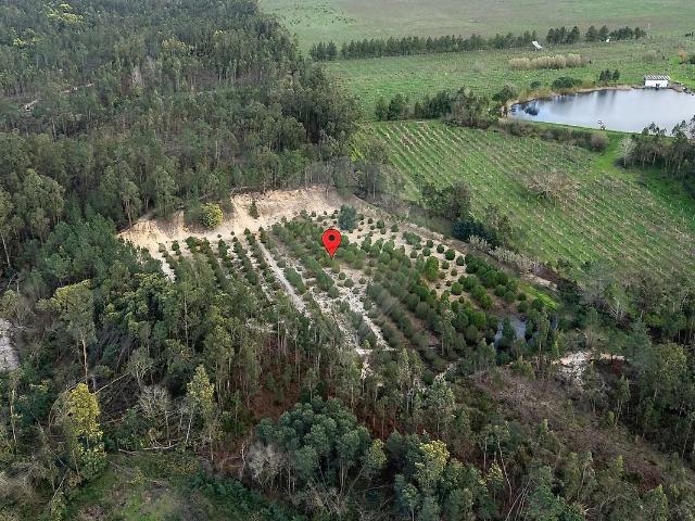 Terreno à venda em Seixo de Gatões, Montemor o Velho RE/MAX Portugal