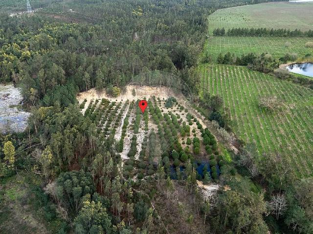 Terreno à venda em Seixo de Gatões, Montemor o Velho RE/MAX Portugal