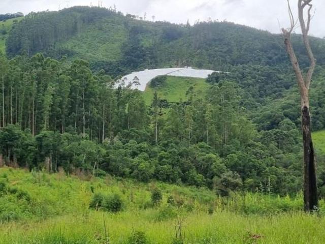 Terreno à Venda em Senador Amaral / MG