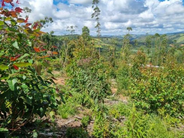 Terreno à Venda em Senador Amaral / MG