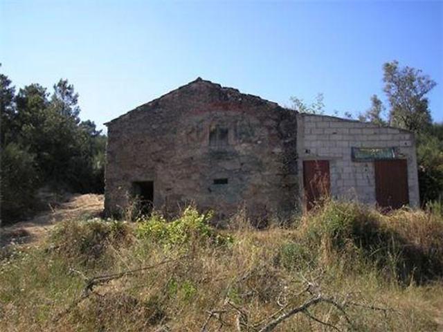 Terreno à venda em Senhorim, Nelas RE/MAX Portugal