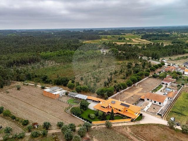 Terreno à venda em Sepins e Bolho, Cantanhede RE/MAX Portugal