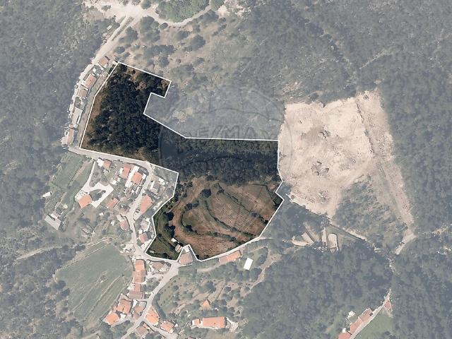 Terreno à venda em Sequeade e Bastuço São João e Santo Estevão, Barcelos RE/MAX Portugal