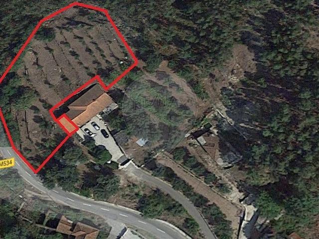Terreno à venda em Serdedelo, Ponte de Lima RE/MAX Portugal