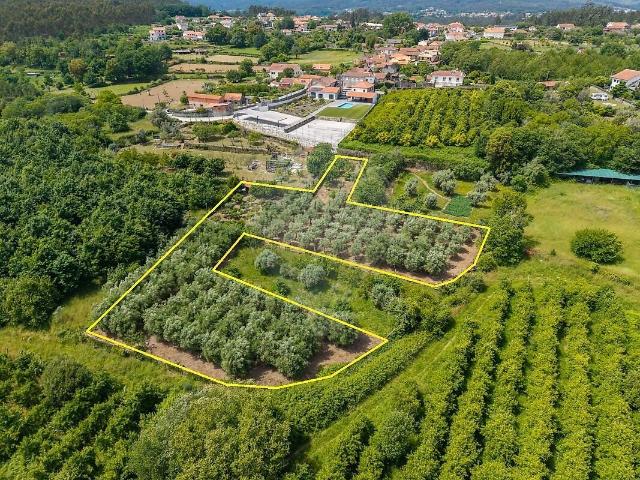 Terreno à venda em Serrazes, São Pedro do Sul RE/MAX Portugal
