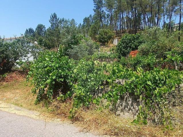 Terreno à venda em Sertã