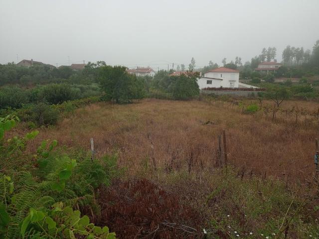Terreno à venda em Sertã