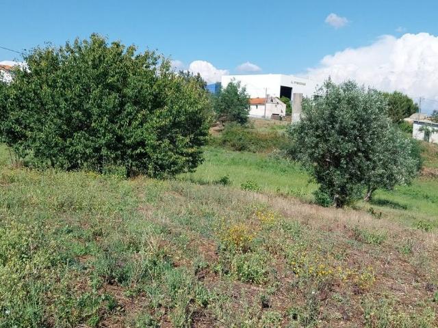 Terreno à venda em Sertã