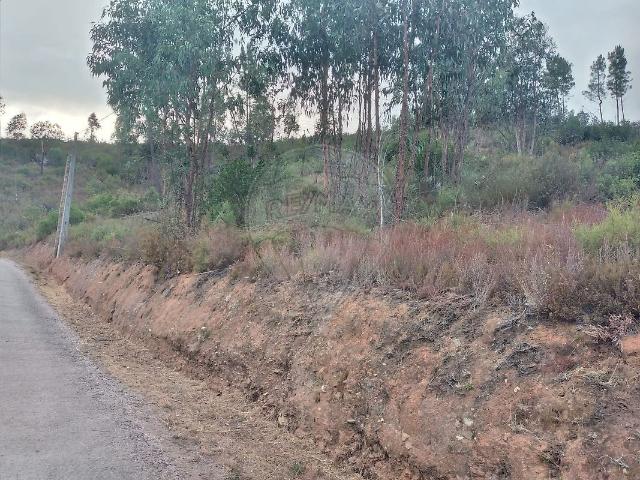 Terreno à venda em Sertã