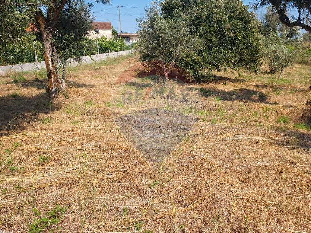 Terreno à venda em Sertã
