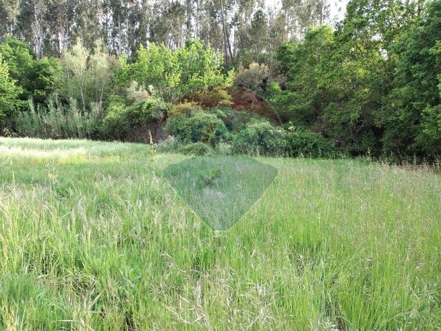Terreno à venda em Sertã