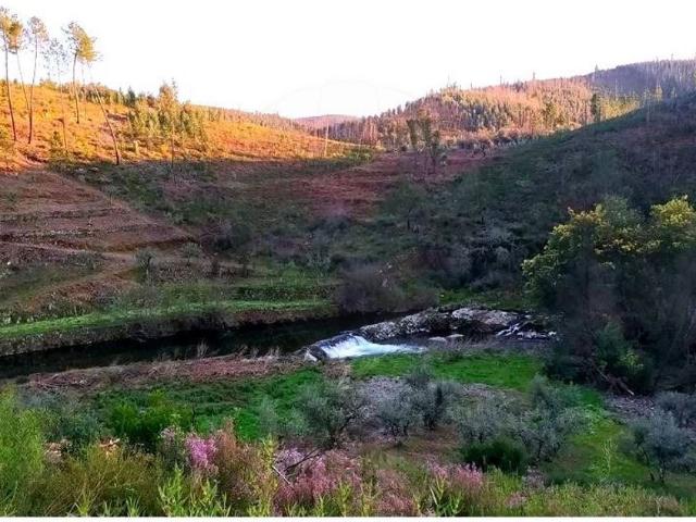 Terreno à venda em Sertã